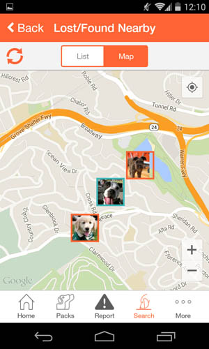 Humane Society of Harford County Integrates with Facial Recognition App to Bring Lost Pets Home