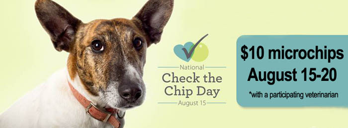 Harford Veterinarians Microchipping Pets for $10 During National Check the Chip Day Promotion