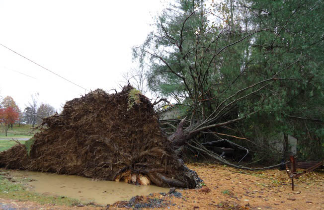 Harford County Offers Safety Tips for Hurricane Season 2016