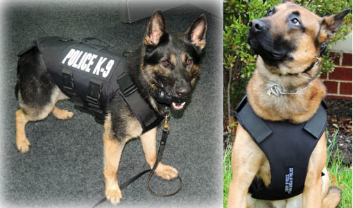 Aberdeen Police Dogs Receive Ballistic Vests from Groupon Campaign –“Vested Interest in K9s”