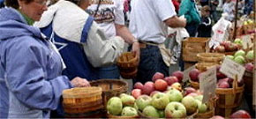 Darlington Apple Festival: Rotting At Its Core Or Ripening With Age?