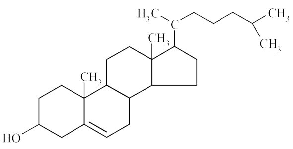 The Dreaded “C” Word…Cholesterol