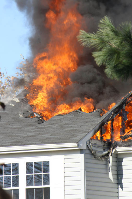 Blaze Destroys Fountain Glen Townhouse; Firefighters Save Kitten From Basement (UPDATED)