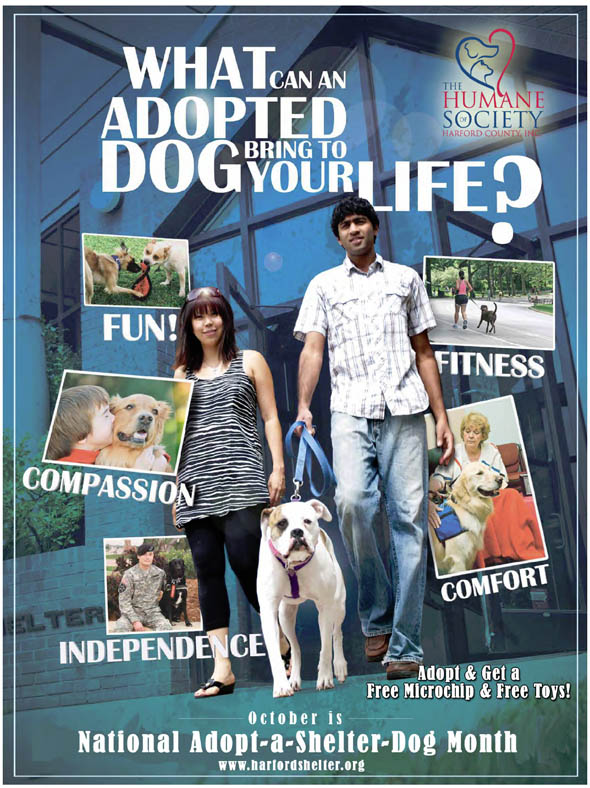 “What Can an Adopted Dog Bring to Your Life?” Humane Society of Harford County Celebrates National Adopt-a-Shelter-Dog Month this October