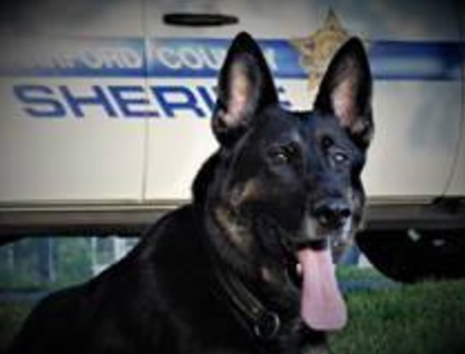 Harford County Sheriff’s Office Retired K-9 Ronin Loses Battle with Cancer