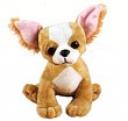 webkinz chihuahua max