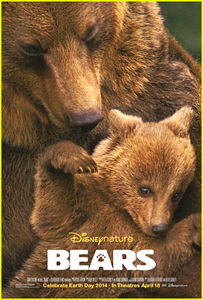 poster bears