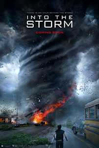 poster into the storm