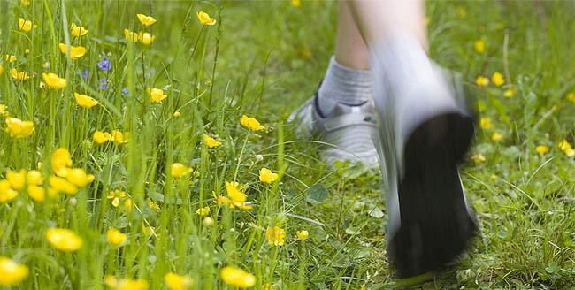 Spring Forward: Getting Up and Active as the Weather Warms