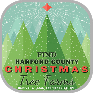 Christmas Tree Safety Tips from Harford County Government